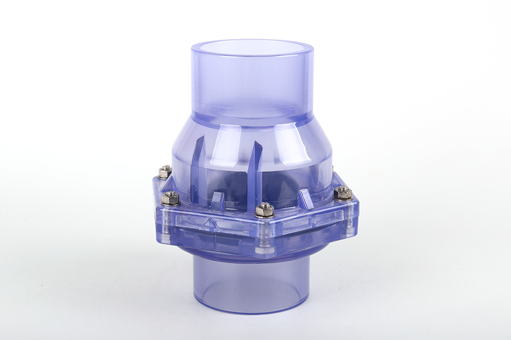 海南透明翻板式止回阀